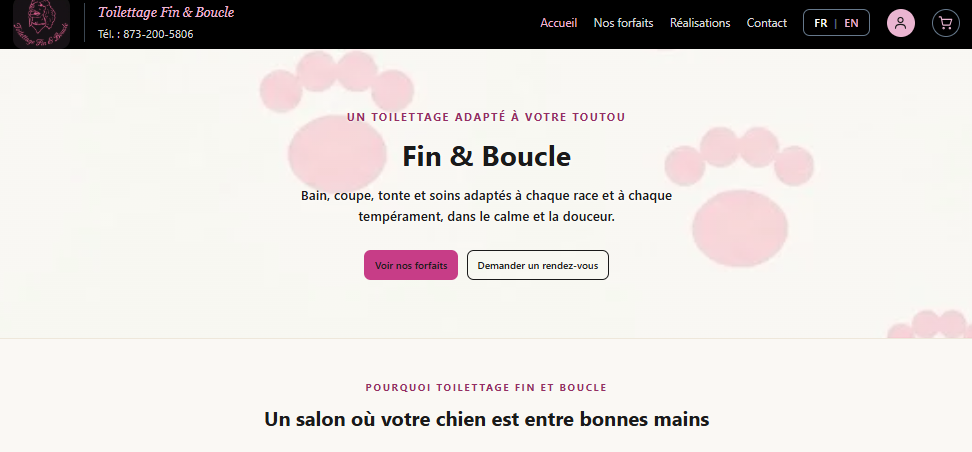 Conception de site Web